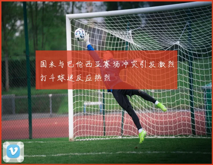 国米与巴伦西亚赛场冲突引发激烈打斗球迷反应热烈