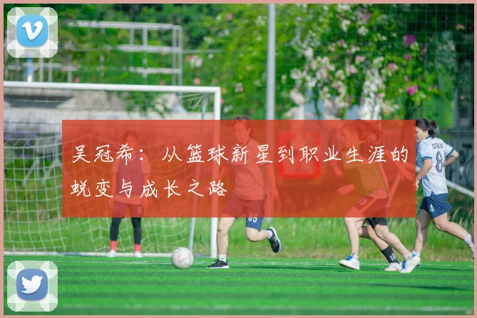 吴冠希：从篮球新星到职业生涯的蜕变与成长之路