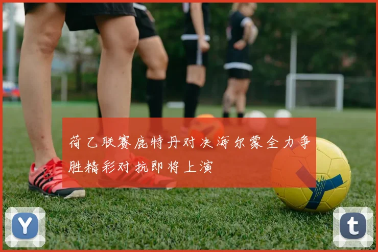 荷乙联赛鹿特丹对决海尔蒙全力争胜精彩对抗即将上演