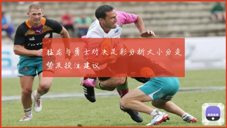猛龙与勇士对决足彩分析大小分走势及投注建议