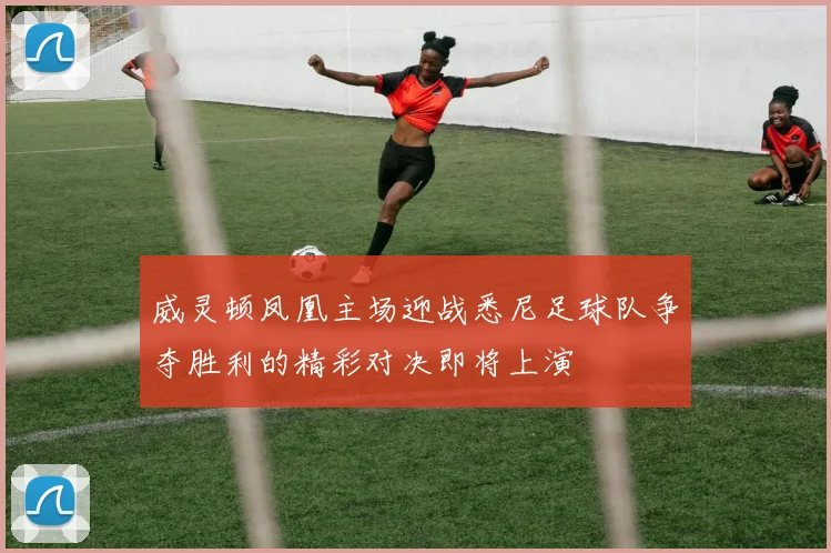 威灵顿凤凰主场迎战悉尼足球队争夺胜利的精彩对决即将上演