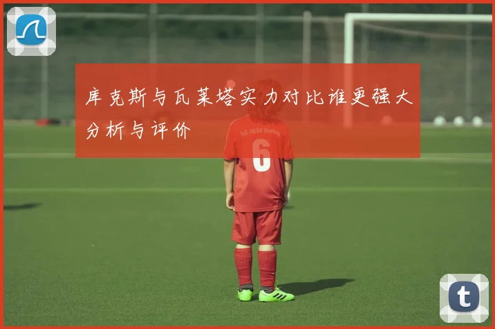 库克斯与瓦莱塔实力对比谁更强大分析与评价