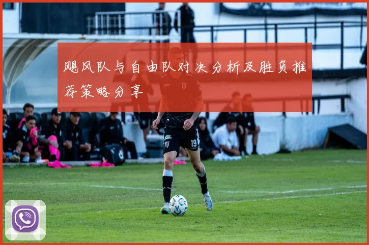 飓风队与自由队对决分析及胜负推荐策略分享